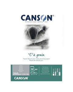 Canson "C à Grain A4 250g Mottled Grey Drawing - 400110398
