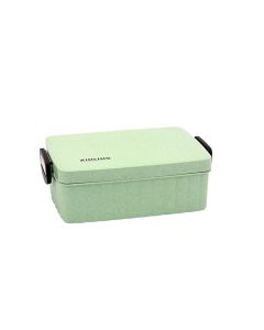 Lunch Box for School - Green - Xling