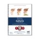Strathmore Learning Series Colored Pencil Pad, 9in x 12in, Nature - 25-753