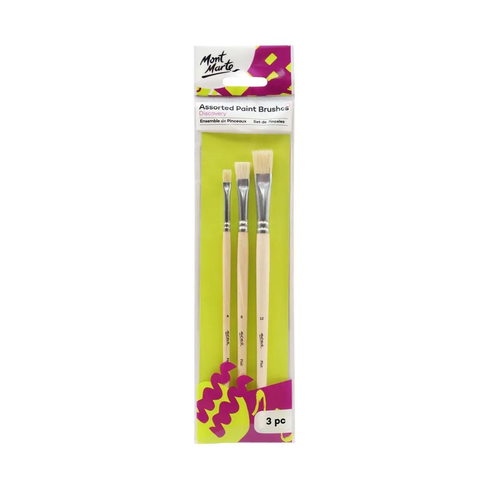 Assorted Paint Brushes Discovery 3pc - 38