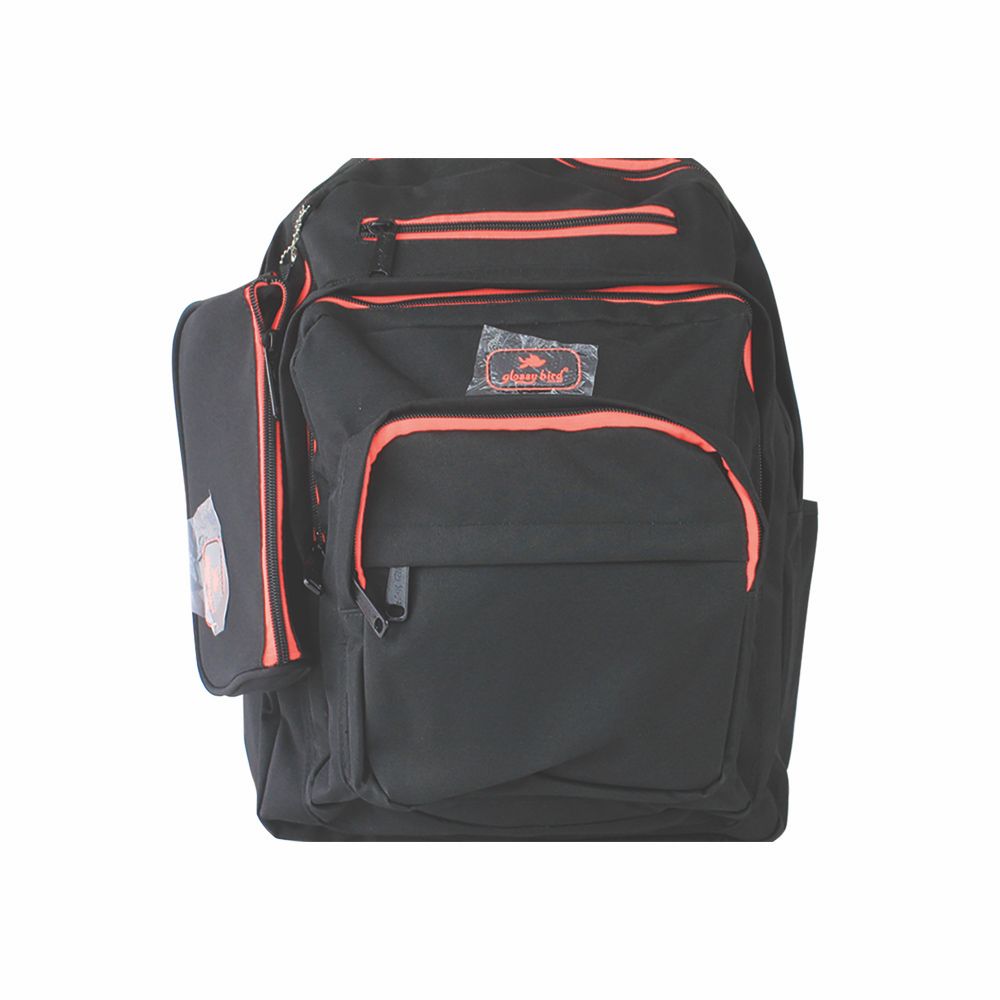 School Backpack 16