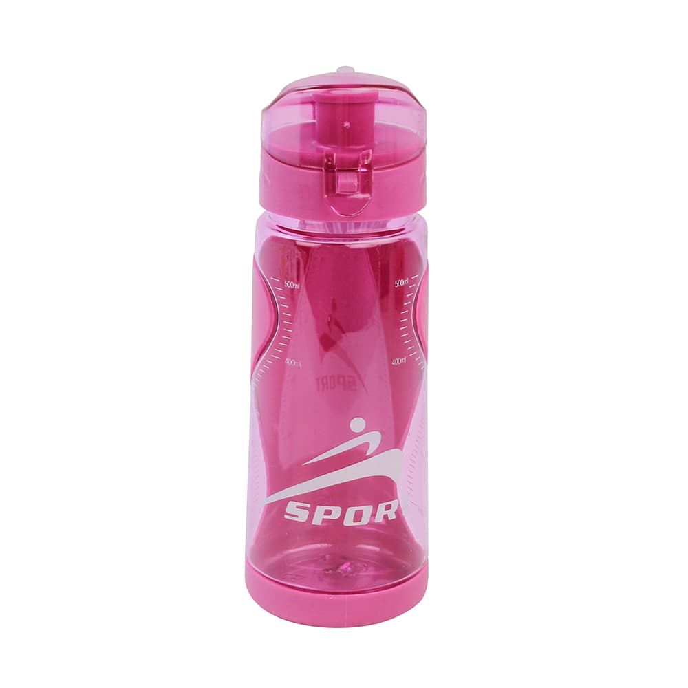 Water Bottle 2023 design 550 ML 1411-4